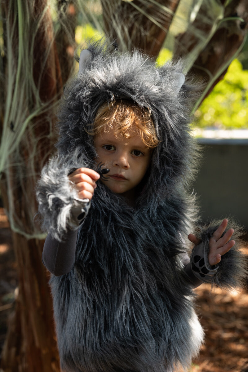 LightCreative_202410_HannahAlex_BrightSpotDonuts_Hike_HalloweenCostumes_documentaryfamily_006