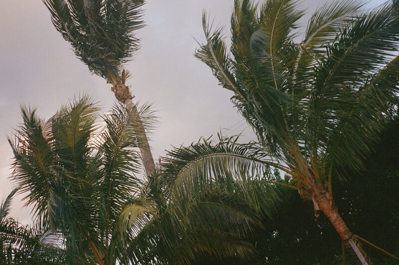 Tropical Film Photographer