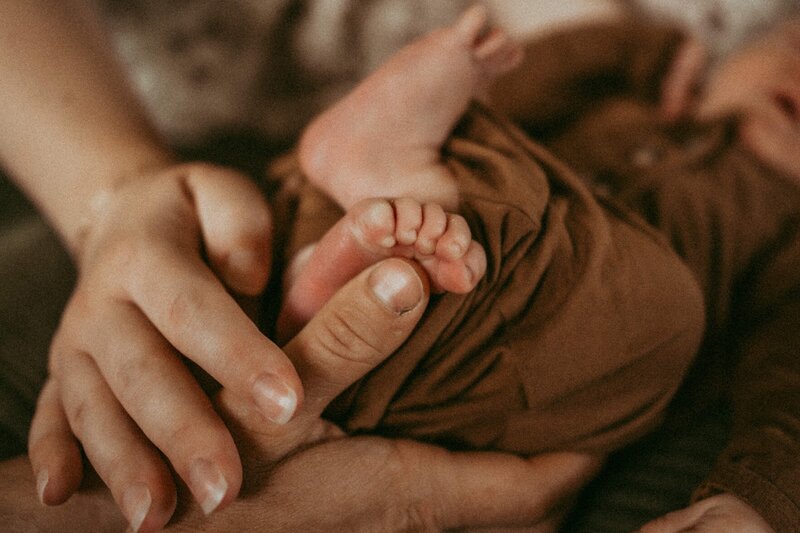Lansing family photographer 024