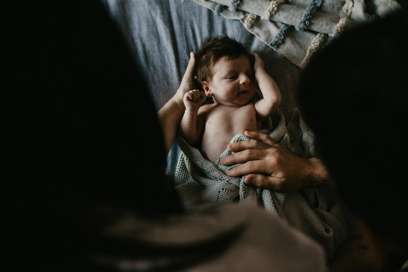 rex newborn42