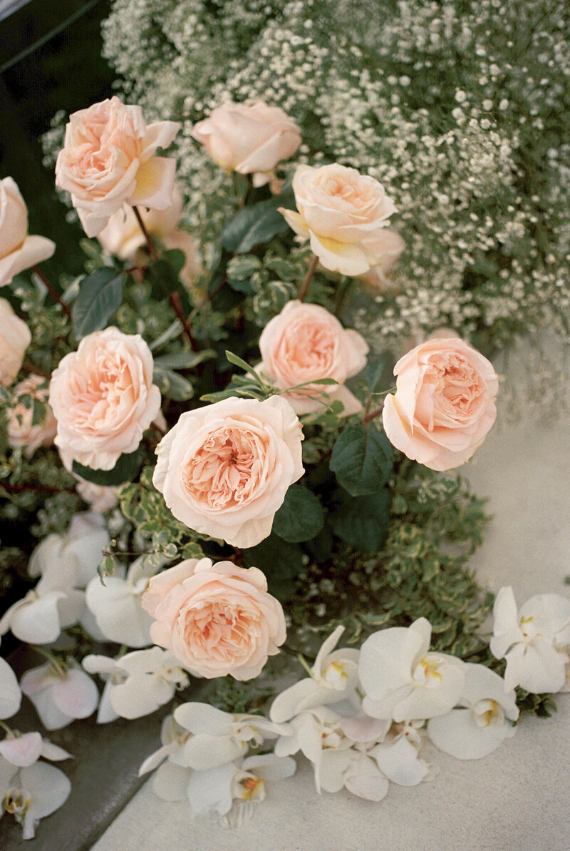 Spring-Intimate-Wedding-Northern-Virginia-on-35mm-Film-27