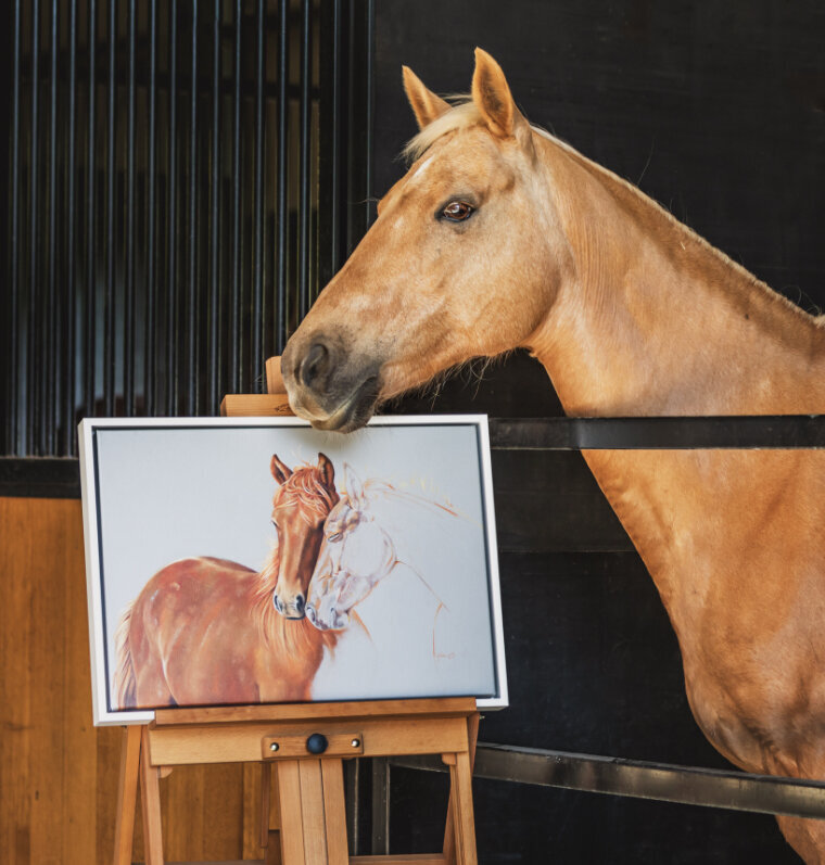 Karen-Osborn-Art-Equine-Artist-Paard-Verzameld-Gallery