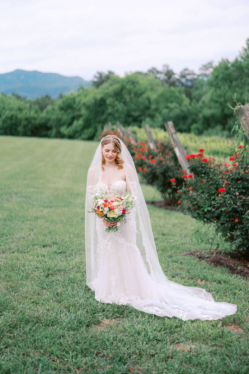 bride in lace wedding gown holds bouquet at harpers vineyard wedding venue near knoxville tennessee