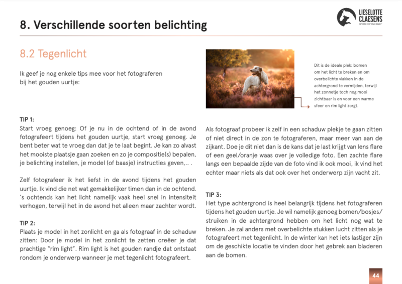 Scherm­afbeelding 2025-03-24 om 17.21.00