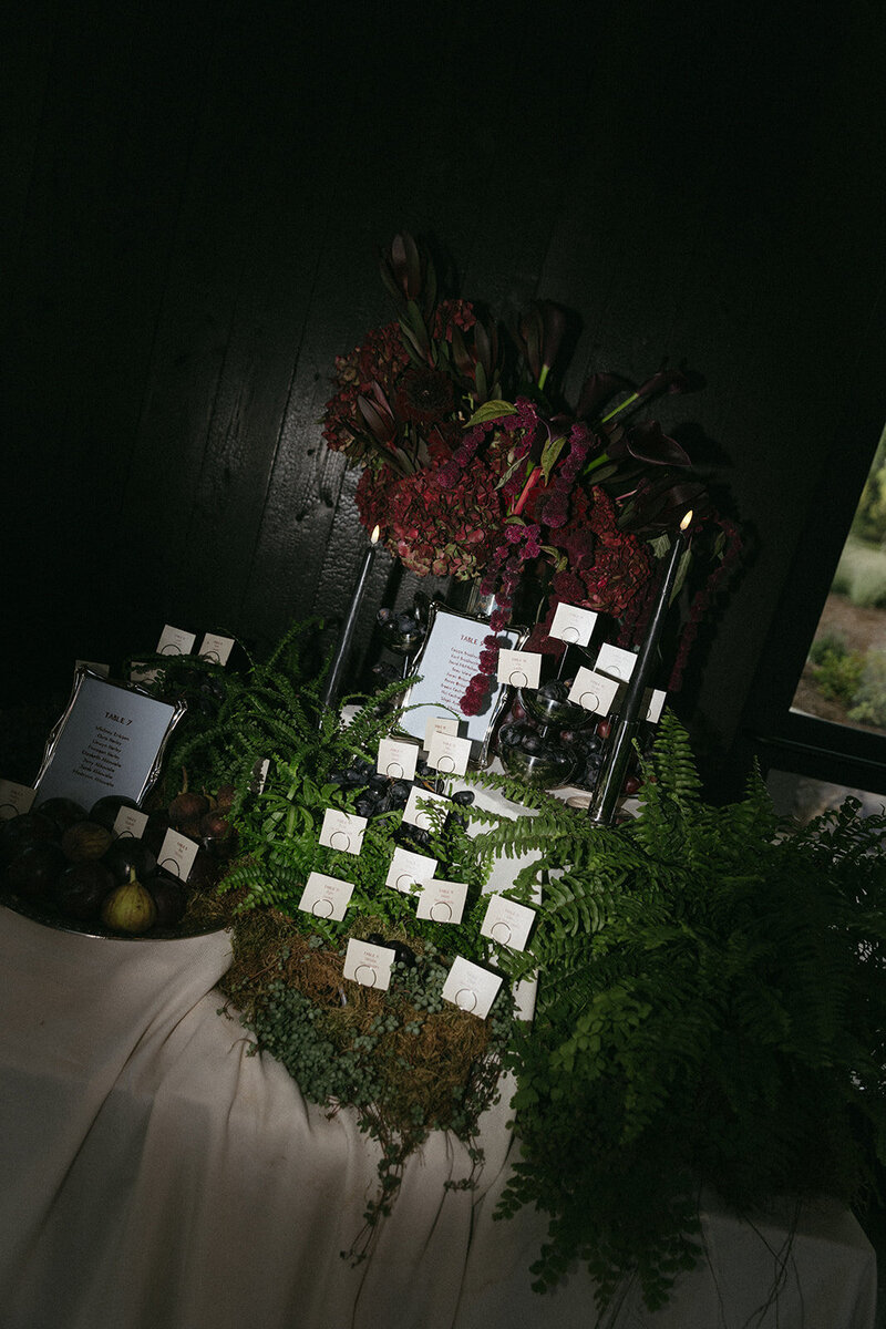 Erica&Noel_SneakPeeks-51