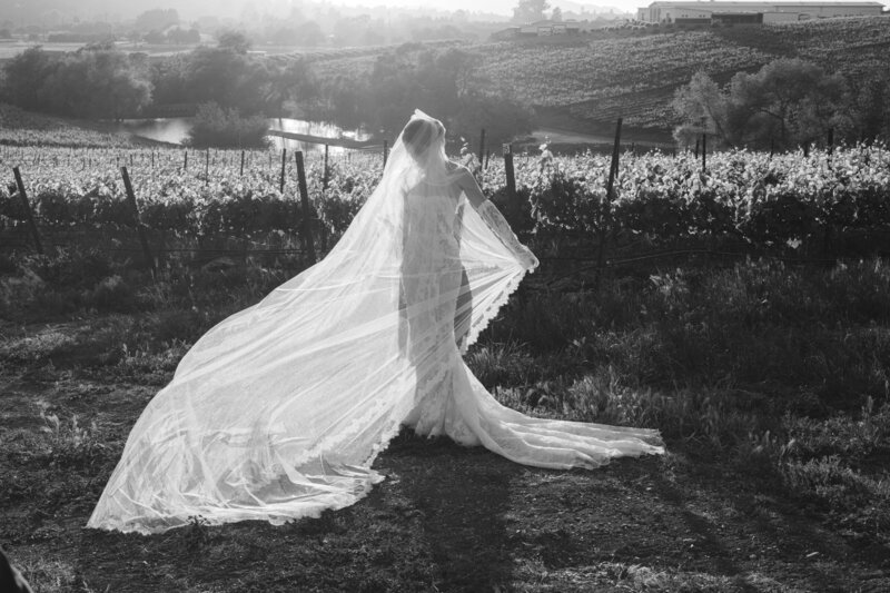 Colorful winery wedding in central California on digital and film