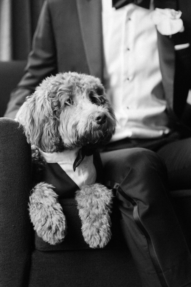 Chicago Wedding Photographer-13