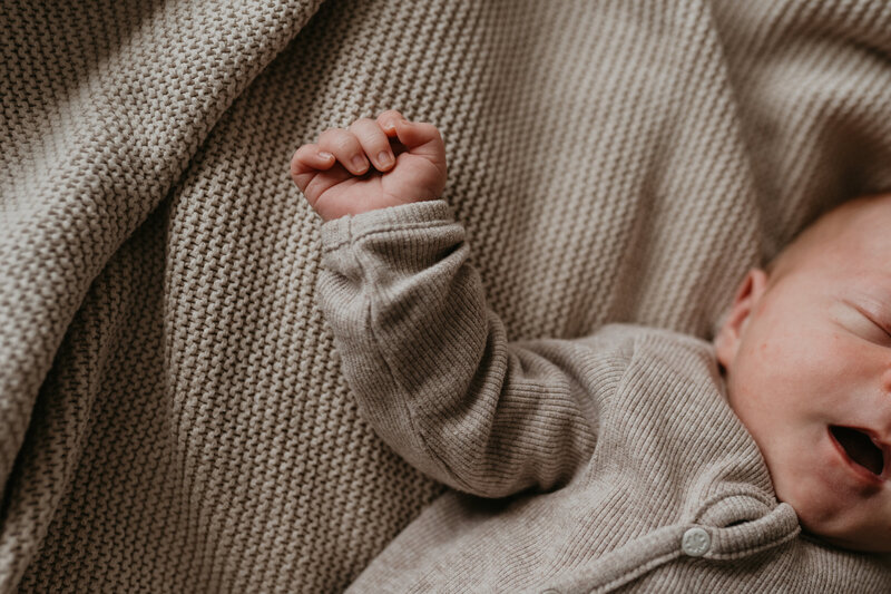 Harris newborn18