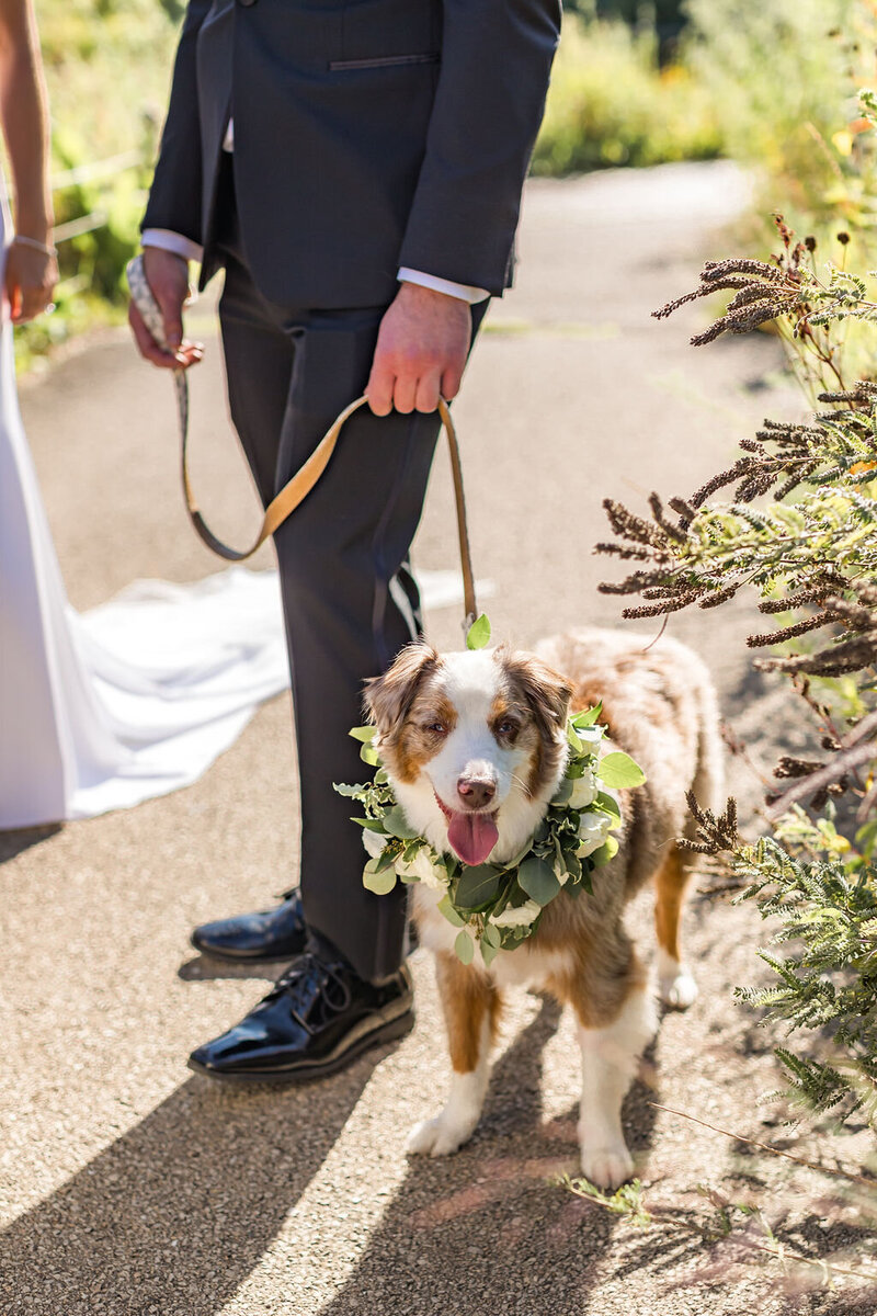 rachel-steven-wedding-646