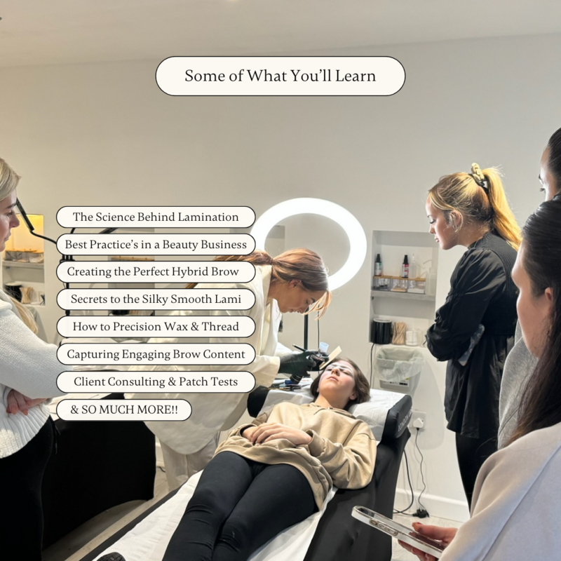hybrid lami course (2)