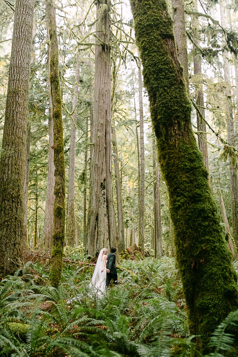 bride and groom portrait after their elopement ceremony in Northern Ireland.