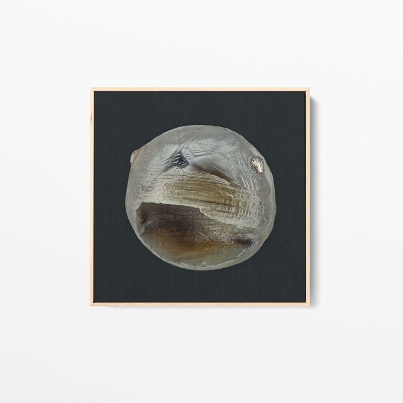 Fine Art Canvas with a natural wooden frame featuring Project Stardust micrometeorite NMM 2365 collected and photographed by Jon Larsen and Jan Braly Kihle
