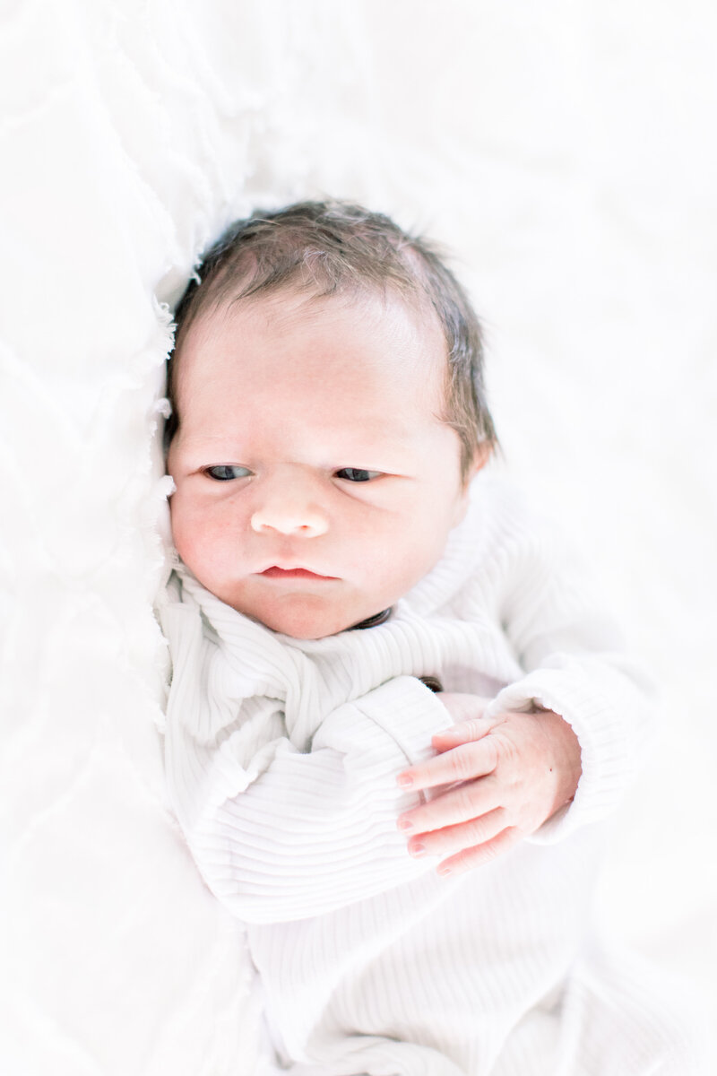 Lifestyle newborn portraits, towson maryland