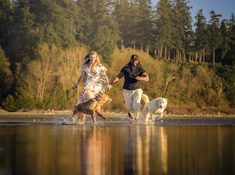 Sunny beach frolic with couple and dogs – A lively capture of shared joy, perfect for those seeking authentic, energetic outdoor photography.