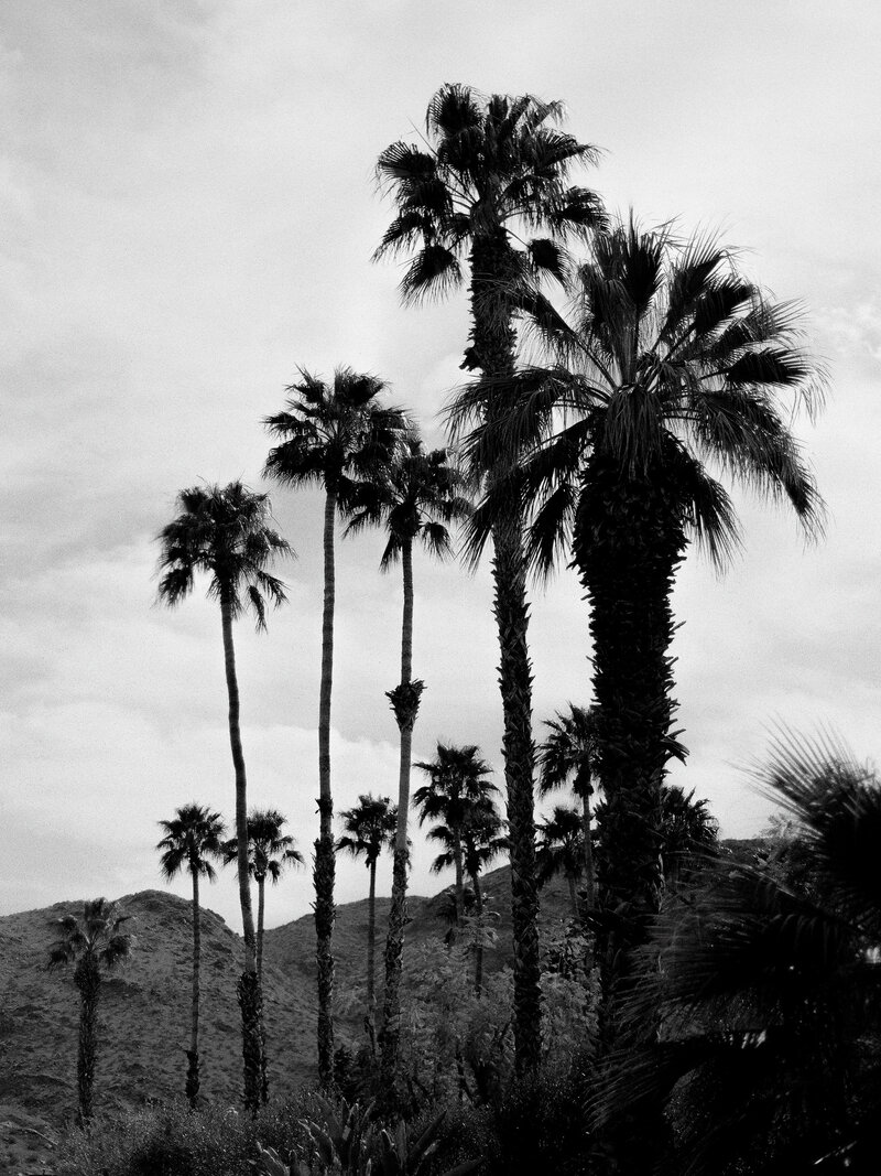 Brady Bates - Parker Palm Springs -8