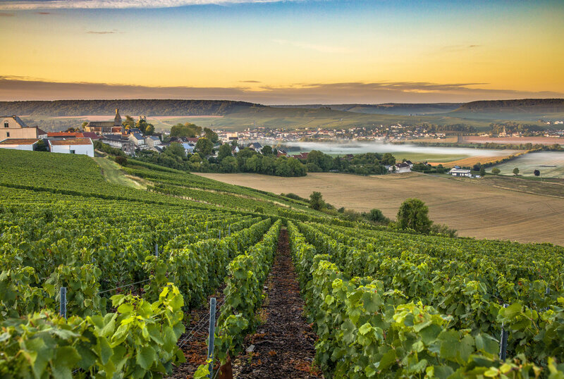 Rolling vineyards of Champagne, France, birthplace of the world’s most famous sparkling wine, with views of lush hills and historic cellars.