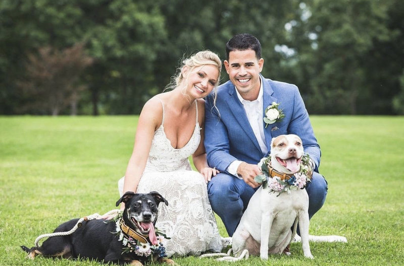 wedding day pet care