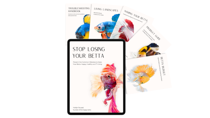 photo of everything offered in the betta fish ebook bundle