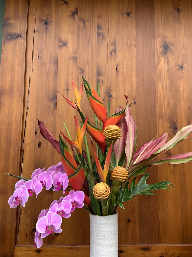 Hualalai Enthusiast