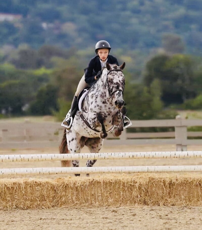A beautiful blonde quarter horse that is for sale lays in a sand turn-out, she looking at the camera