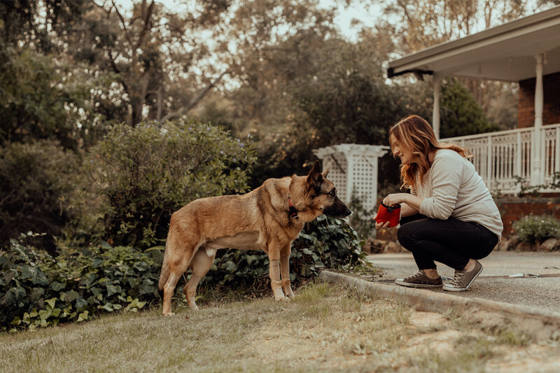 the-lifestyle-phodographer-perth-family-pet-photographer-legacy-end-of-life00001