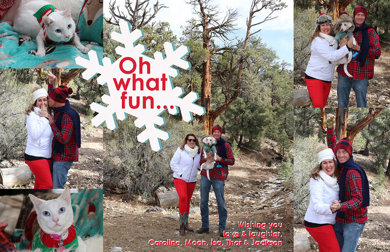 Morey Xmas Card 2016 WEB