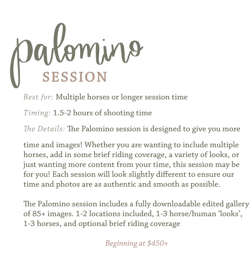 palomino session-1
