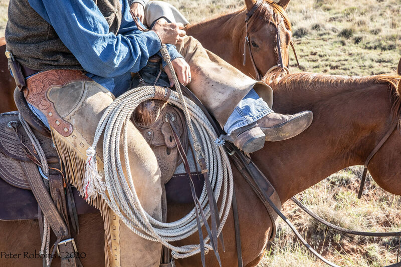 Cowboy on horse
