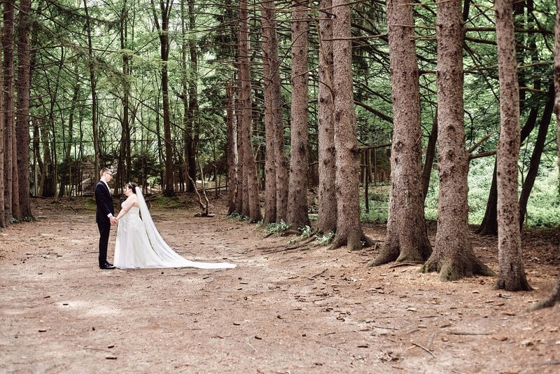 A wedding couple stand in the Sheldon Pines lane of trees posing for their wedding photos holding hands.