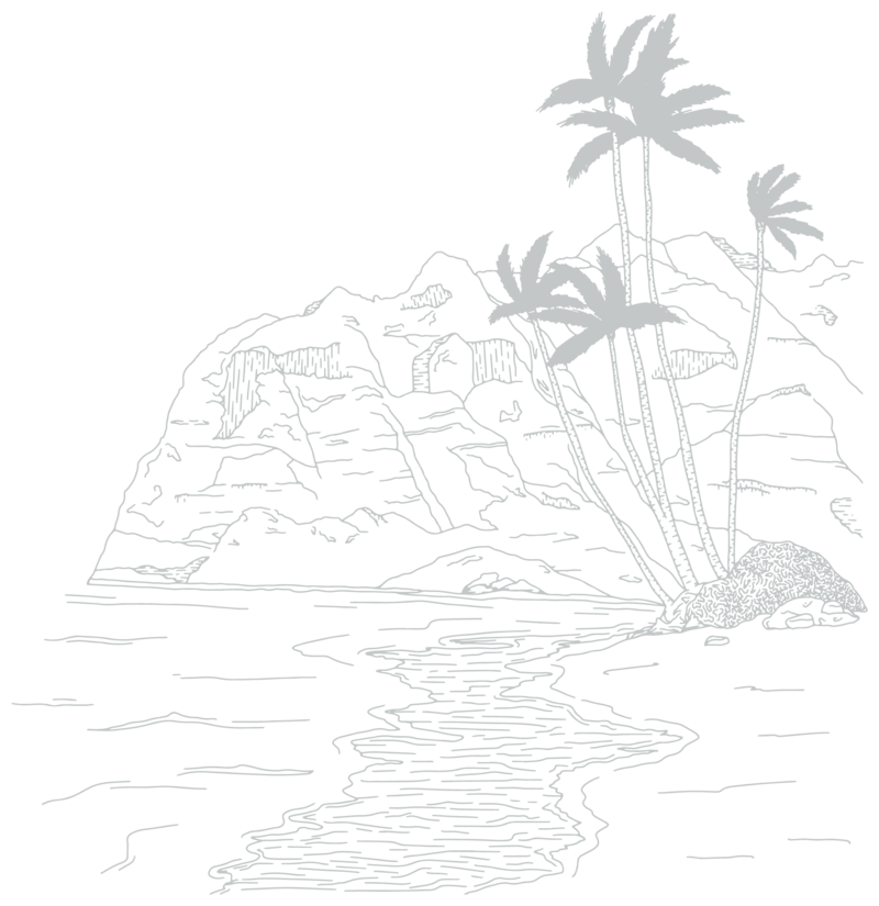 line drawing of beach