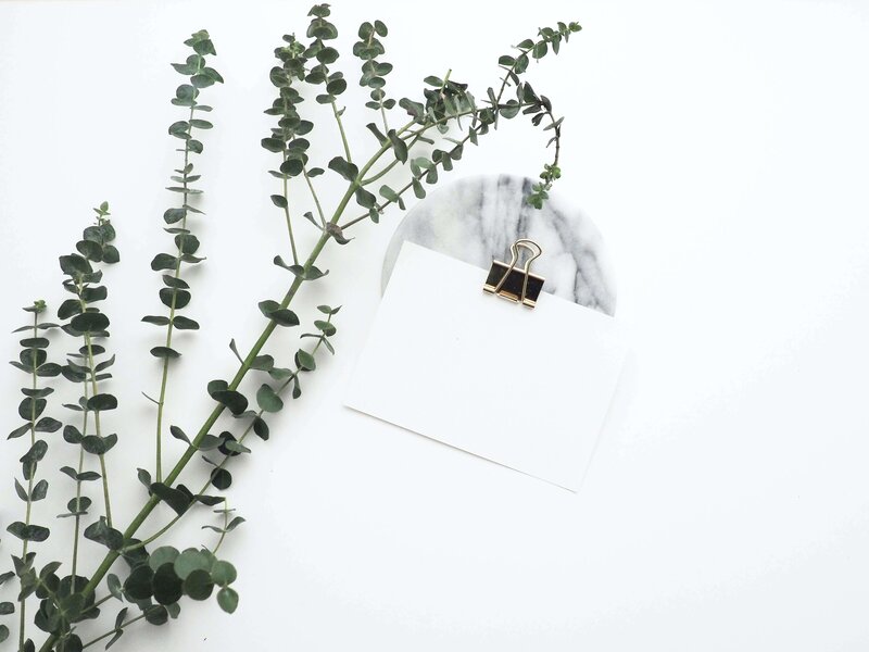 A sprig of eucalyptus with a notecard hanging from it.