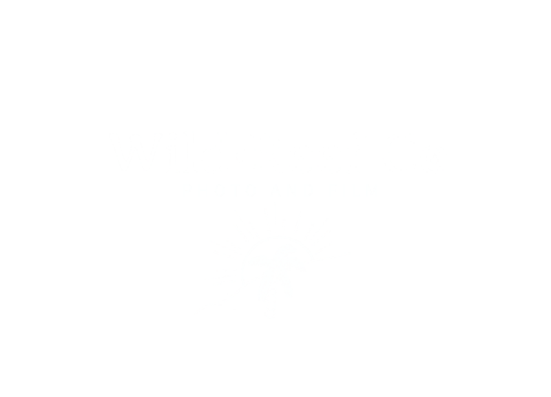 Wedding Photo and Film for the curious and wild at heart