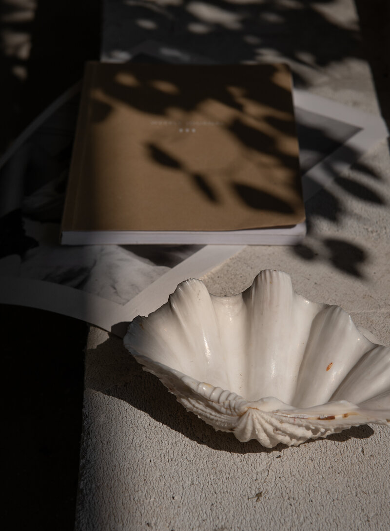 Still life of a shell resting beside a journal in afternoon light — soft shadows evoke introspection and storytelling