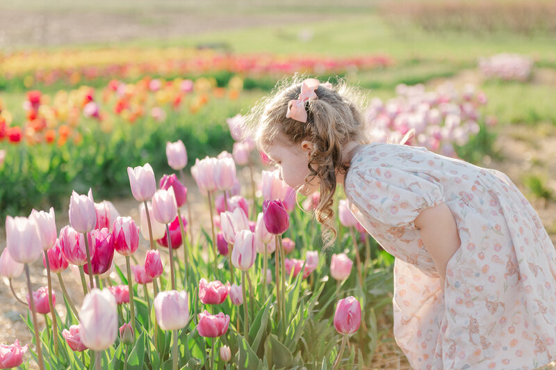 Little girl smelling a tulip in a white dress with piggy tails