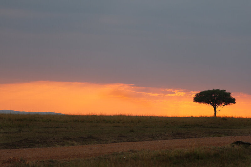 safariedited-129