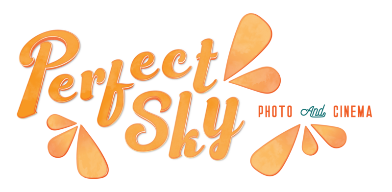 Orange Modern Retro Logo for Perfect Sky Photo and Cinema