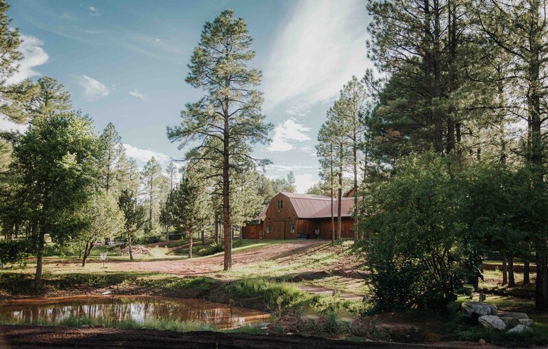 A group of women sit around a dining table smiling. 
