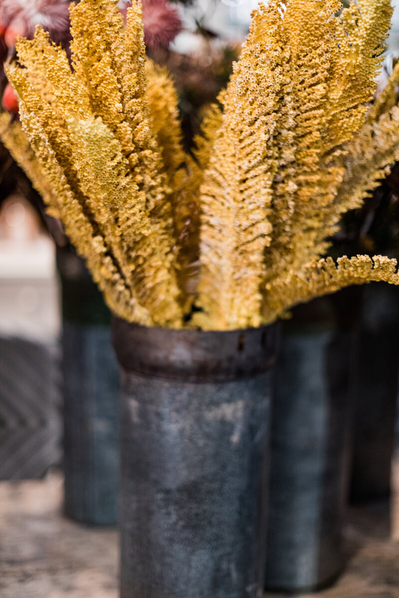Home Pete's Greenhouse