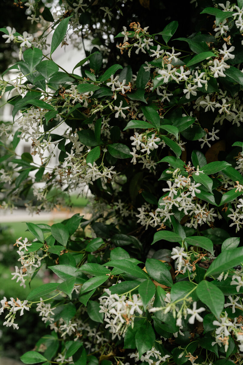 DSC02655