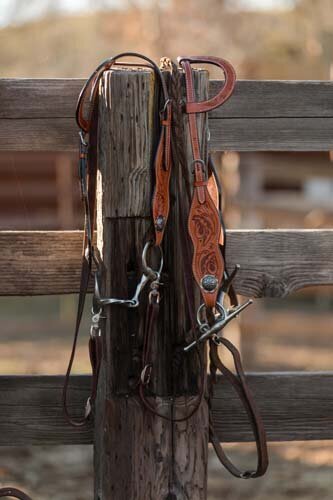 CLEARANCE! Gold Fleck on Tan Hide Dark Leather Tack Set – Cowgirl