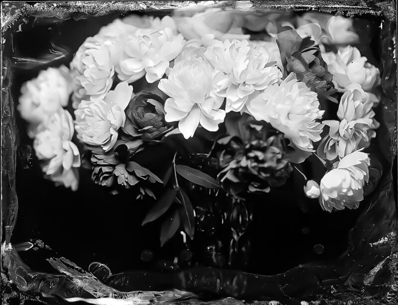 Paper peonies