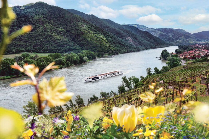 A white river cruise ship travels through a wide river valley framed by green hills and vibrant yellow flowers in the foreground.