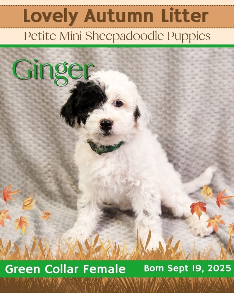 Autumn - Green Ginger Female