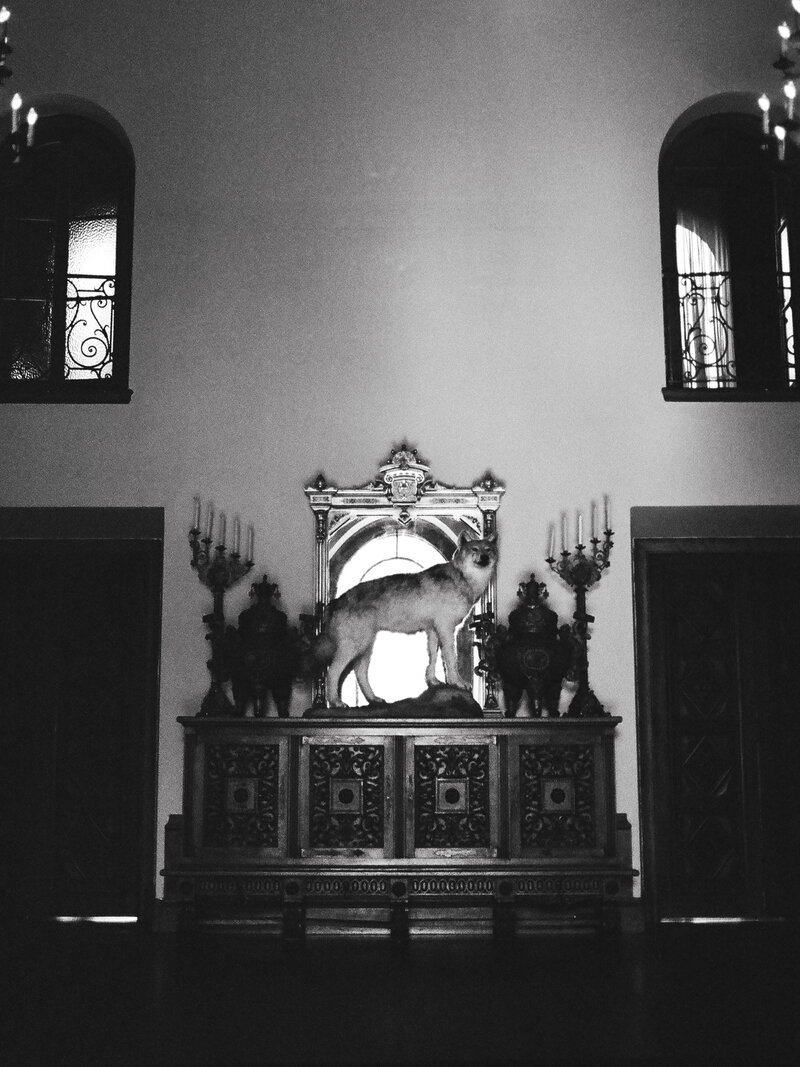 Brady Bates - The Paramour Estate-11