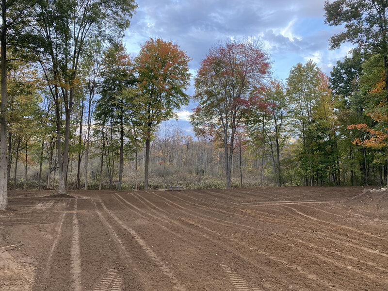 land clearing and forestry mulching