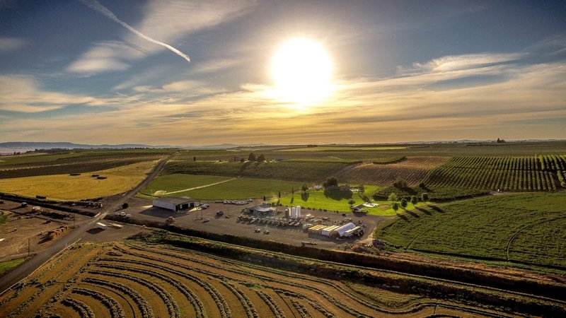 Whitby Farms Welcome To Our Family Farm