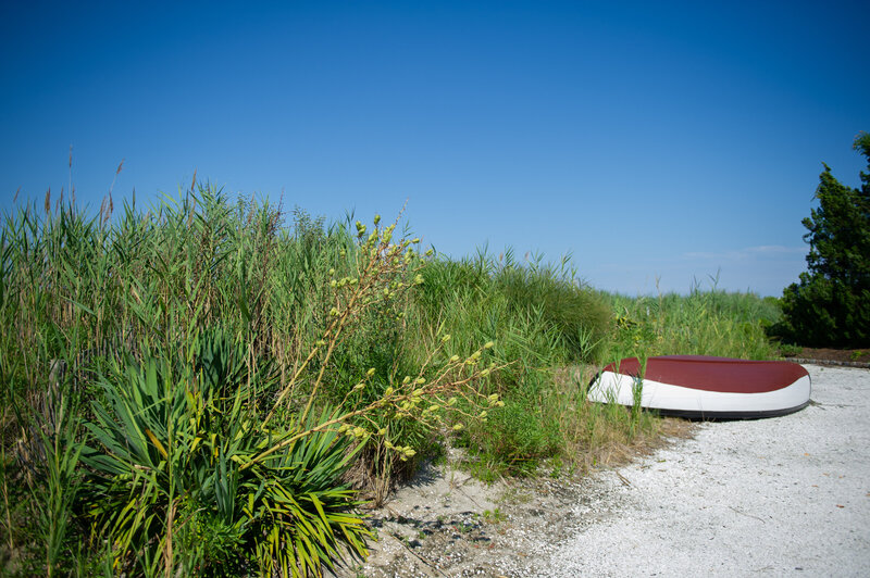 Bonnet Island Estate July Landscape14