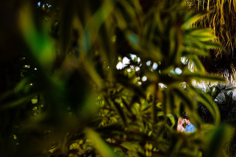 A Engaged couple embracing in the tropical jungle of Punta Cana
