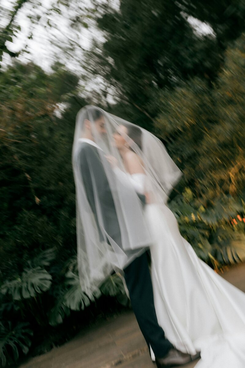 pexels-alexander-mass-748453803-33815173