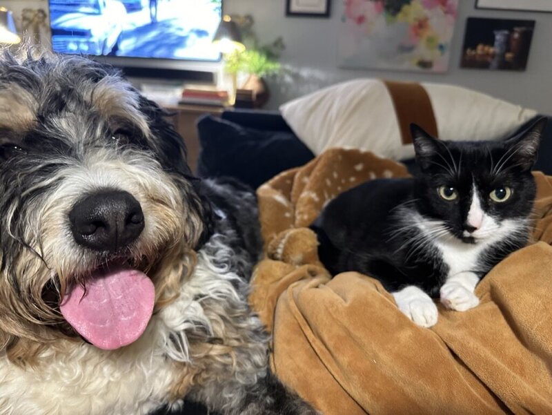 275F3A56-05F9-4905-94D1-DF0FACBE4F00_1_105_c